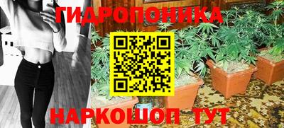 бошки Гай