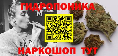 гашик Гусев