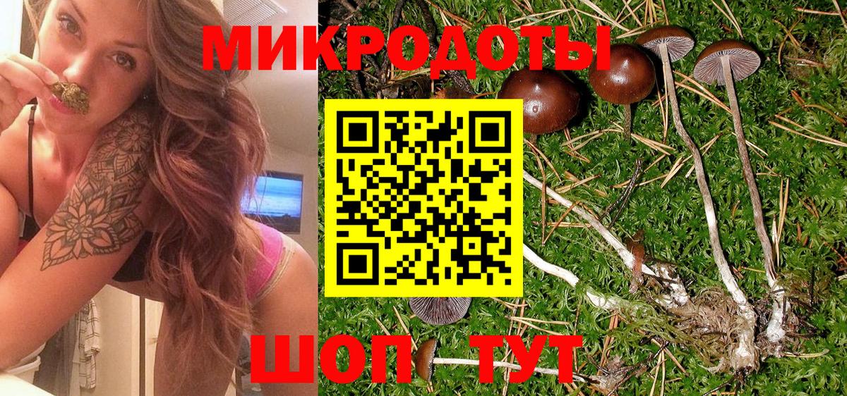 Псилоцибиновые грибы MAGIC MUSHROOMS  Вход с VPN  Псилоцибиновые грибы мухоморы  Евпатория 